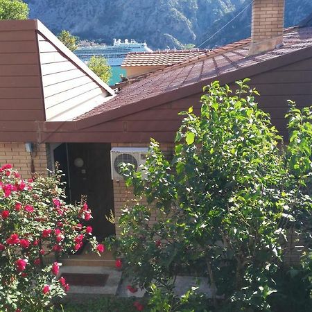 Sofi Appartement Kotor Buitenkant foto